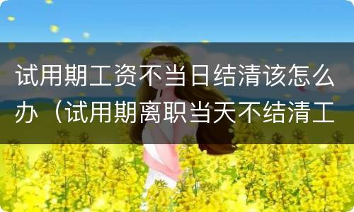 试用期工资不当日结清该怎么办（试用期离职当天不结清工资怎么办）