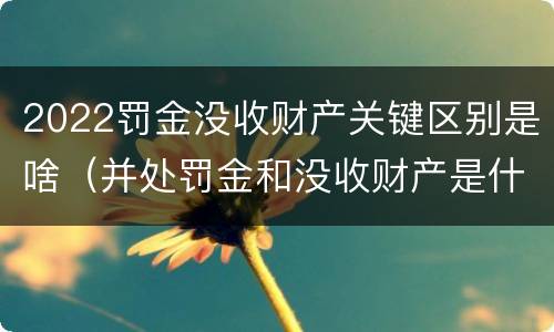 2022罚金没收财产关键区别是啥（并处罚金和没收财产是什么意思）