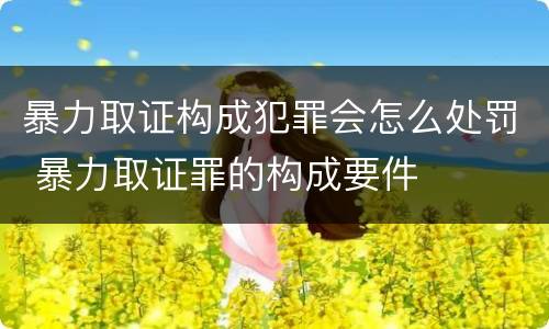 暴力取证构成犯罪会怎么处罚 暴力取证罪的构成要件