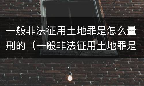 一般非法征用土地罪是怎么量刑的（一般非法征用土地罪是怎么量刑的呢）