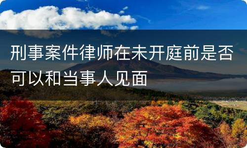 刑事案件律师在未开庭前是否可以和当事人见面
