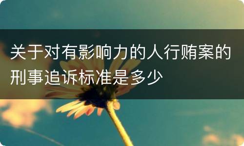 关于对有影响力的人行贿案的刑事追诉标准是多少