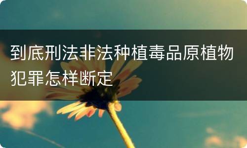 到底刑法非法种植毒品原植物犯罪怎样断定