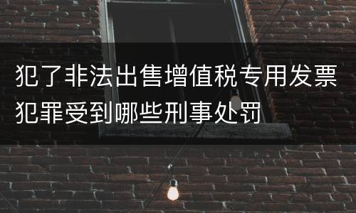 犯了非法出售增值税专用发票犯罪受到哪些刑事处罚