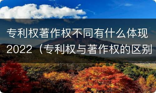专利权著作权不同有什么体现2022（专利权与著作权的区别与联系）