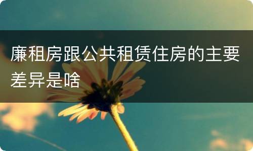 廉租房跟公共租赁住房的主要差异是啥
