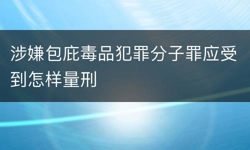 涉嫌包庇毒品犯罪分子罪应受到怎样量刑