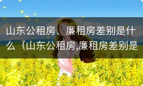 山东公租房、廉租房差别是什么（山东公租房,廉租房差别是什么意思）