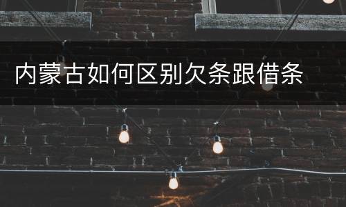 内蒙古如何区别欠条跟借条