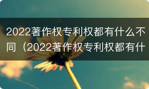 2022著作权专利权都有什么不同（2022著作权专利权都有什么不同呢）