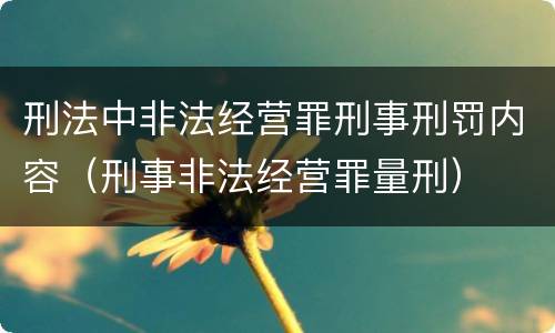 刑法中非法经营罪刑事刑罚内容（刑事非法经营罪量刑）