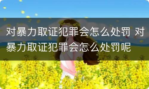 对暴力取证犯罪会怎么处罚 对暴力取证犯罪会怎么处罚呢