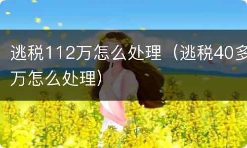 逃税112万怎么处理（逃税40多万怎么处理）