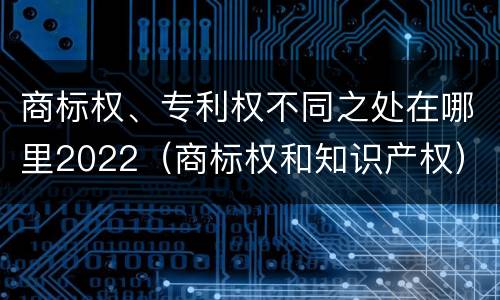 商标权、专利权不同之处在哪里2022（商标权和知识产权）