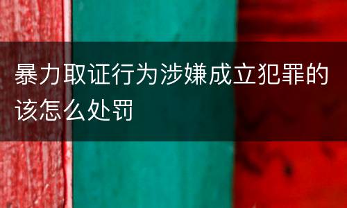 暴力取证行为涉嫌成立犯罪的该怎么处罚