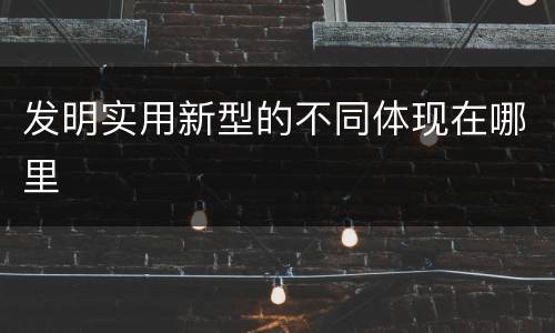 发明实用新型的不同体现在哪里