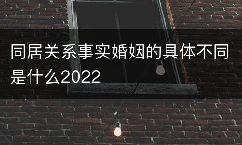 同居关系事实婚姻的具体不同是什么2022