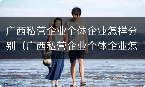 广西私营企业个体企业怎样分别（广西私营企业个体企业怎样分别纳税）