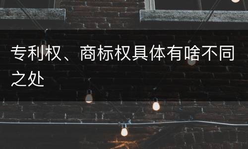 专利权、商标权具体有啥不同之处