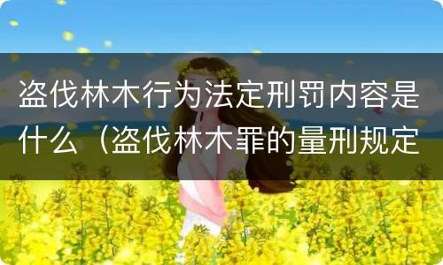 盗伐林木行为法定刑罚内容是什么（盗伐林木罪的量刑规定）