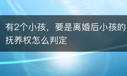 有2个小孩，要是离婚后小孩的抚养权怎么判定