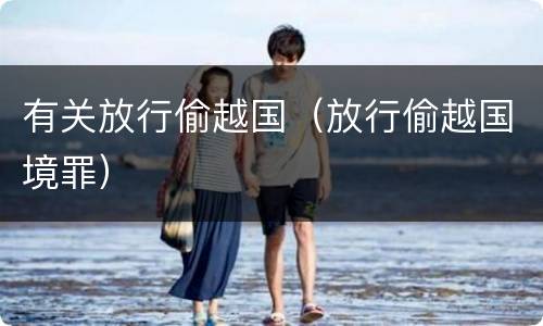有关放行偷越国（放行偷越国境罪）