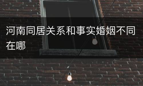 河南同居关系和事实婚姻不同在哪