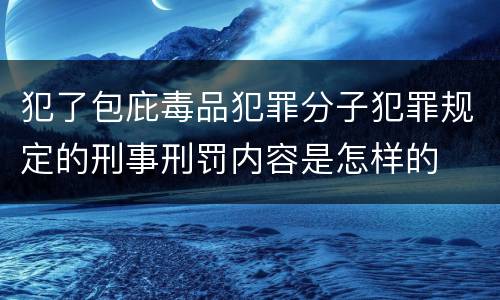 犯了包庇毒品犯罪分子犯罪规定的刑事刑罚内容是怎样的
