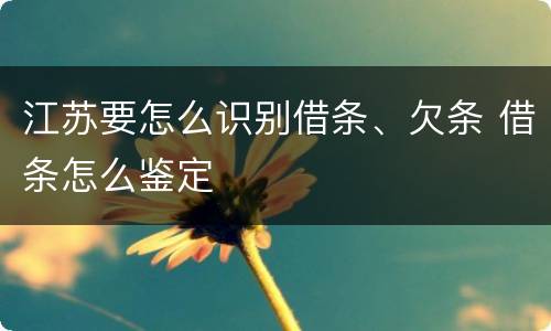 江苏要怎么识别借条、欠条 借条怎么鉴定