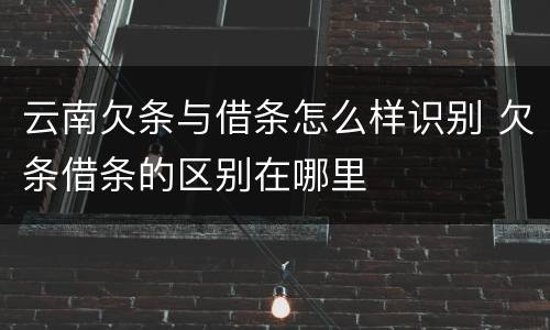 云南欠条与借条怎么样识别 欠条借条的区别在哪里
