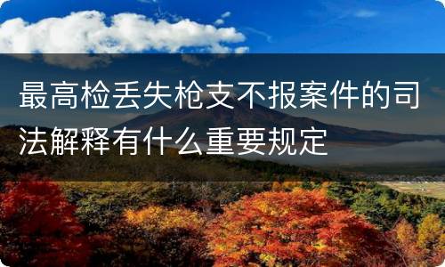 最高检丢失枪支不报案件的司法解释有什么重要规定