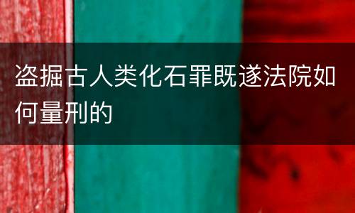 盗掘古人类化石罪既遂法院如何量刑的