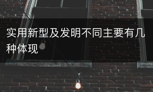 实用新型及发明不同主要有几种体现