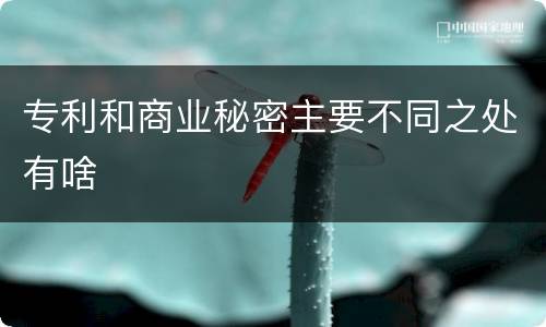 专利和商业秘密主要不同之处有啥