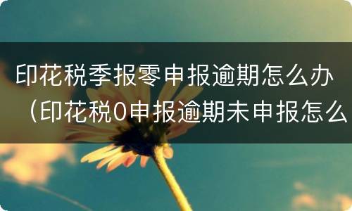 印花税季报零申报逾期怎么办（印花税0申报逾期未申报怎么罚款）