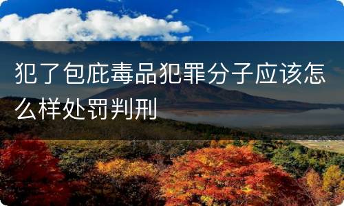 犯了包庇毒品犯罪分子应该怎么样处罚判刑