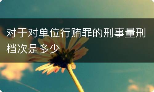 对于对单位行贿罪的刑事量刑档次是多少