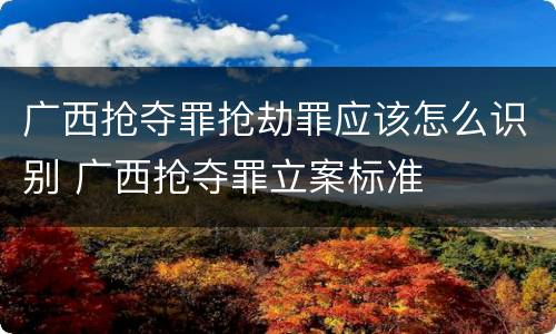 广西抢夺罪抢劫罪应该怎么识别 广西抢夺罪立案标准