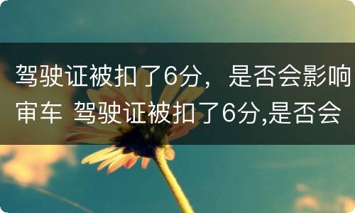 驾驶证被扣了6分，是否会影响审车 驾驶证被扣了6分,是否会影响审车呢