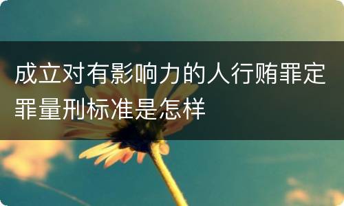 成立对有影响力的人行贿罪定罪量刑标准是怎样