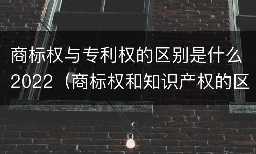 商标权与专利权的区别是什么2022（商标权和知识产权的区别）