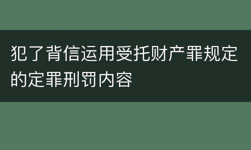 犯了背信运用受托财产罪规定的定罪刑罚内容