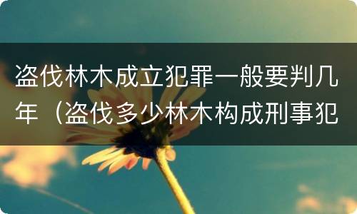 盗伐林木成立犯罪一般要判几年（盗伐多少林木构成刑事犯罪）