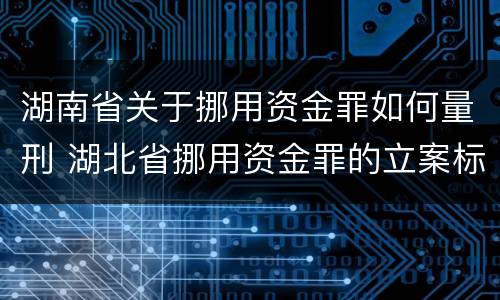 湖南省关于挪用资金罪如何量刑 湖北省挪用资金罪的立案标准