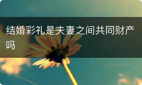 结婚彩礼是夫妻之间共同财产吗