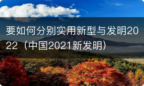 要如何分别实用新型与发明2022（中国2021新发明）