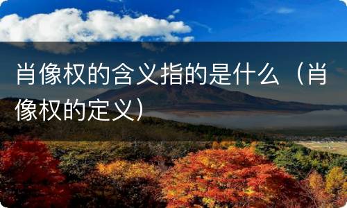 肖像权的含义指的是什么（肖像权的定义）