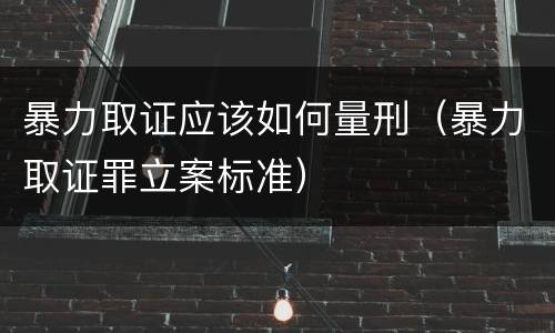 暴力取证应该如何量刑（暴力取证罪立案标准）