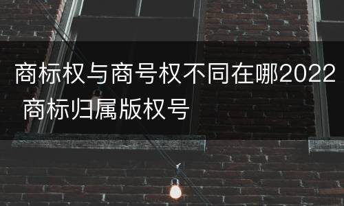 商标权与商号权不同在哪2022 商标归属版权号