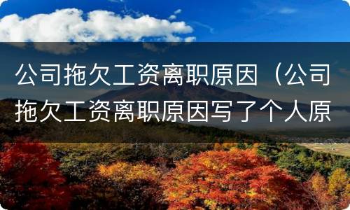 公司拖欠工资离职原因（公司拖欠工资离职原因写了个人原因还能拿到补偿金吗）